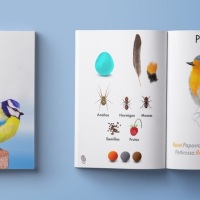 Pequeña Guía de aves cercanas, proyecto en Verkami